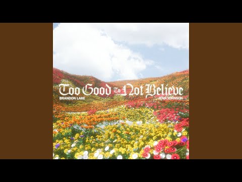 Too Good To Not Believe (Radio Version)
