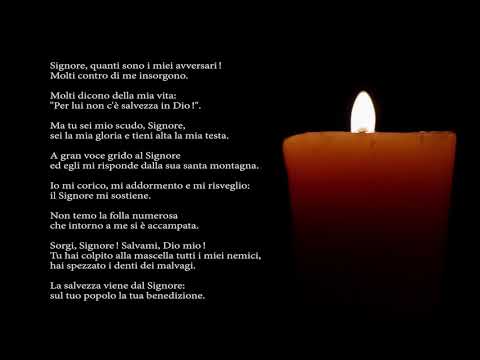 Pregare con i Salmi. Salmo 3 - La salvezza viene dal Signore.