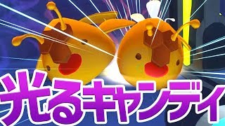 スライムを甘くしてみる🍯 #15 スライムランチャー【Slime Rancher】