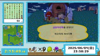 【韓国街森RTA】きんのあみ入手 in 2h13m49s