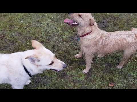 Besuch bei Zakia Mittel