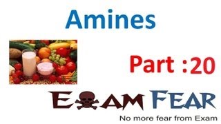 Chemistry Amines part 20 (Chemical Reactions) CBSE class 12 XII