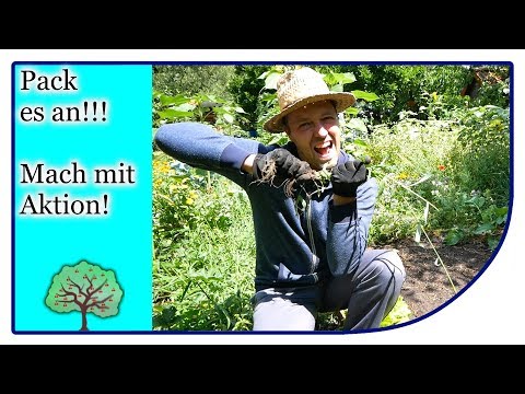 Pack es an | Mitmach Aktion | überwuchertes Zwiebelbeet aufräumen #packesan Challenge