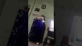 Download lagu Moli mp3