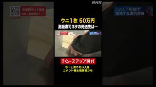 ウニが1枚50万円！高級寿司ネタの発送先は【クロ現】| NHK | #shorts