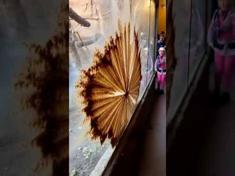 She Mocked Him... 😒 So He Gave Her a 