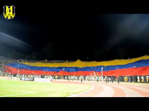 "Dvo. Táchira 1 Yaracuyanos FC 0 26/01/2013 (AvSur)" Barra: Avalancha Sur &bull; Club: Deportivo Táchira