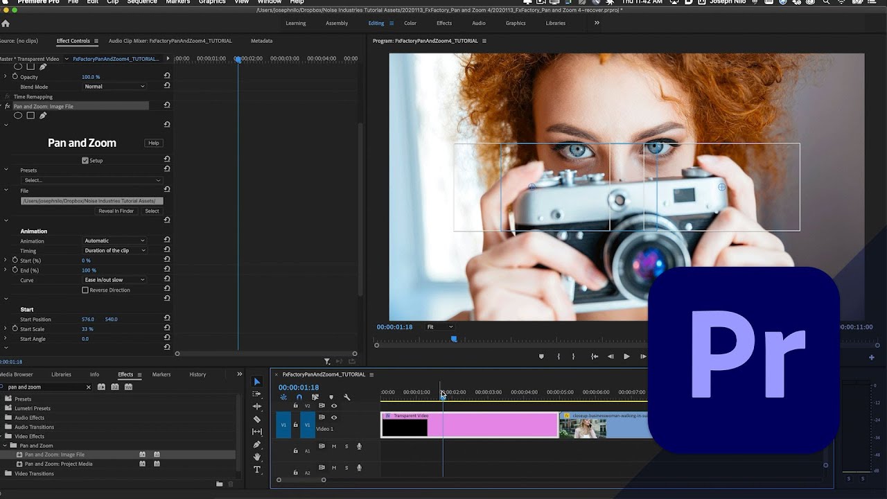 premiere pro pan and zoom plugin download