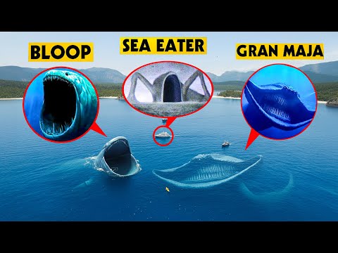 DRONE catches BLOOP VS SEA EATER VS EL GRAN MAJA in REAL LIFE!! (BATTLE OF COLOSOS MOVIE)