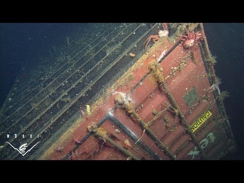 shipping container lost sea containers sunken cargo