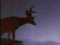 Opening To Bambi 1986 Deluxe Letterbox Edition USA VHS NMan64 Edition