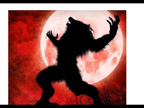 CIC - PRUH ( rap freestyle)