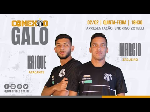 Conexão Galo - Episódio 03/2023 - 02/02/2023