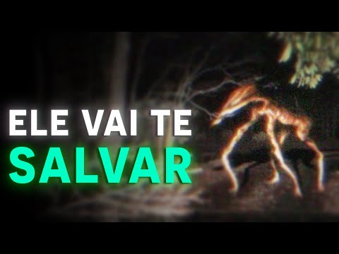 Quem é FOREST FRIEND? | O Amigo da Floresta