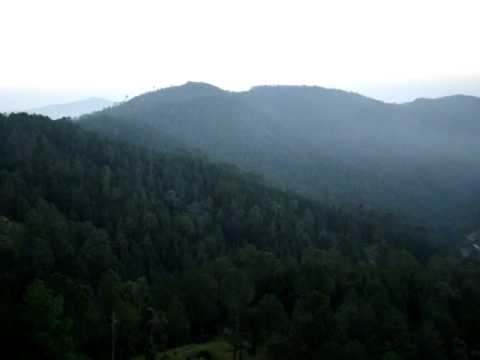 Shimla video