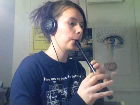 Traditional Irish Tin Whistle Songs