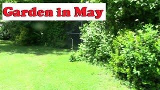 Garden in Tennessee May 6, 2021