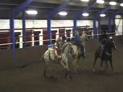 Klenne training manege 22 oktober 2011