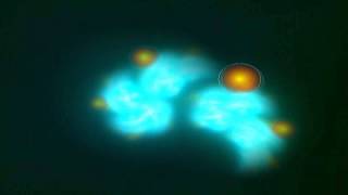 The Doors - Strange Days (New Stereo Mix)