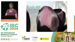 Beverly J  Glover   Plenary lecture  Evolution and development of iridescent petals