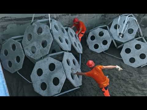 La posa in mare dei "Tecnoreef" nel Golfo di Trieste.