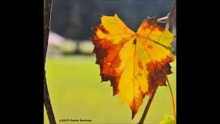 The Marshall Tucker Band - &quot;Too Stubborn&quot;