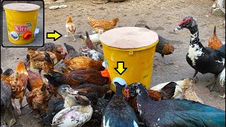 Homemade Rain proof Water Feeder For CHIKENS AND DUCKS - Automatic Bucket Feeder