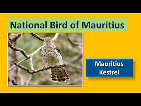 G.K.Questions - National birds of different countries - General Knowledge Questions and Answers