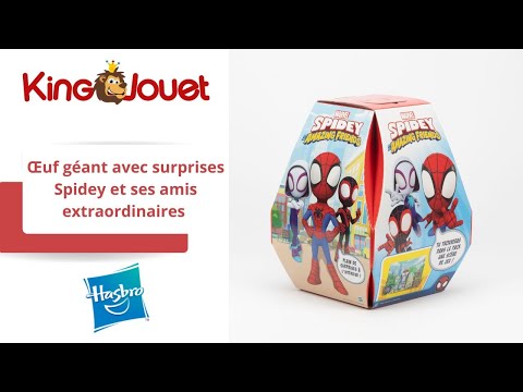 Œuf de Pâques géant Marvel Avengers Hasbro : King Jouet, Figurines Hasbro -  Jeux d'imitation & Mondes imaginaires