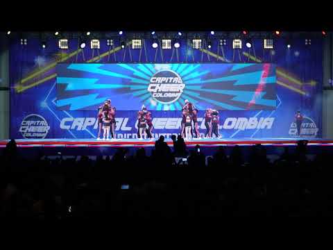 137. Bears All Stars - Bears Black - Bogotá - Nivel 4 Open Mixto Large | Abierto Internacional 2022