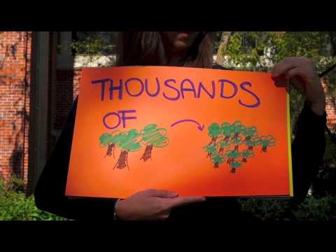 Help 50 Low-Income Families in Puerto Rico Save