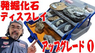 【アンモナイトセンター】化石ディスプレイのアップグレード①