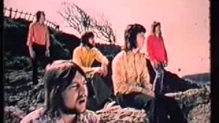 White Plains Beach Comber.flv