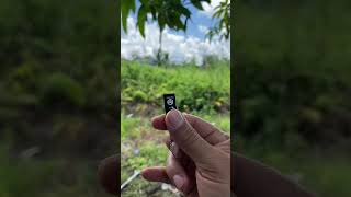 Download lagu Flashdisk Full Music MP3 & MP4 Latest Songs & Various Genres. mp3