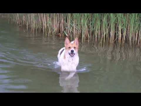 Mazury Okartowo Śniardwy podczas burzy.