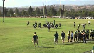 Joshua "Bobby" Cole 2012 Football Highlights