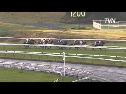 2009 Spring Champion Stakes - Monaco Consul