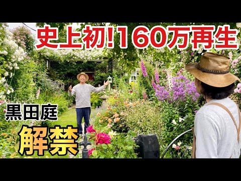 夏の庭の構成 - 夏の季節の美しさを発見してください!  庭園