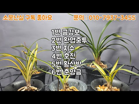 유튜브 썸네일