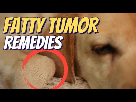Lipomas in Dogs: 5 Natural Remedies