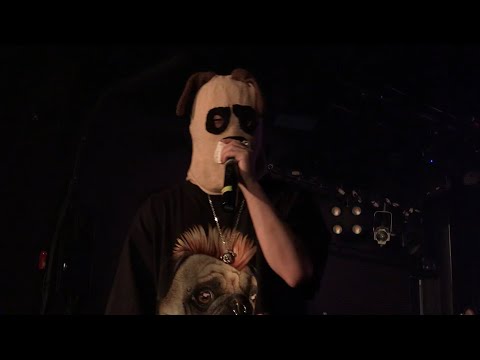 DIVE IN ISLAND - 최엘비 ( choilb ) 라이브