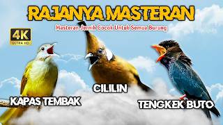 Download lagu MASTERAN KOMBINASI CILILIN - KAPAS TEMBAK - TENGKEK BUTO SUARA JERNIH #1 mp3