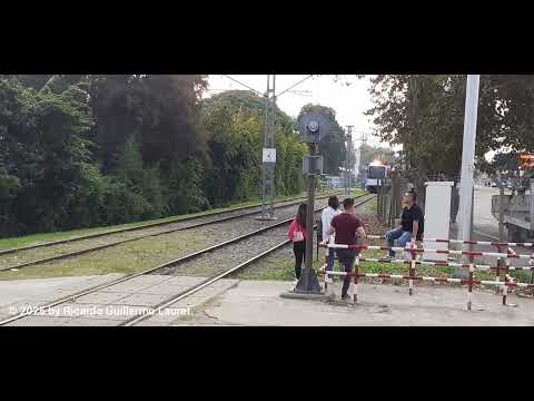 30° Aniversario del Tren de la Costa (24)