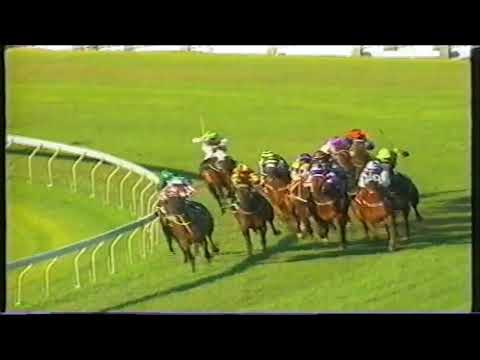 Might and Power 1998 Doomben Cup