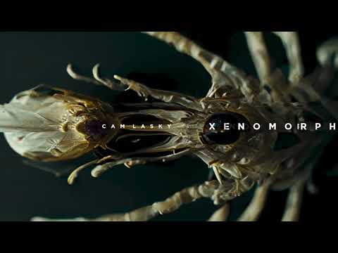 Cam Lasky - Anchorpoint (Original Mix) | XENOMORPH Vol.2 | KWAIOTO Records