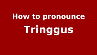 How to pronounce Tringgus