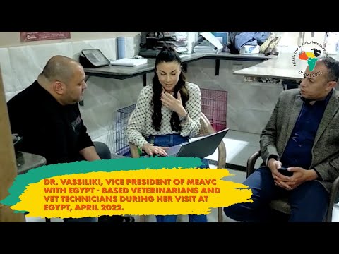 MEAVC goes to Egypt!