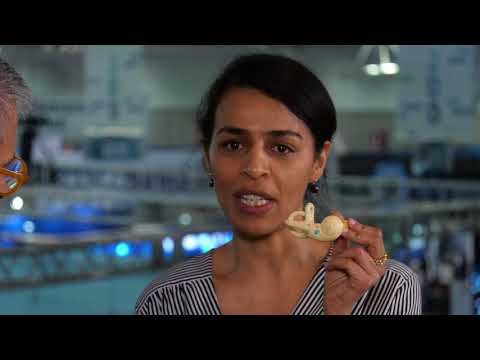 Treatments for the Growing Problem of Hearing Loss – Sensorion’s Nawal Ouzren