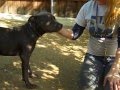 Ernie A4664171