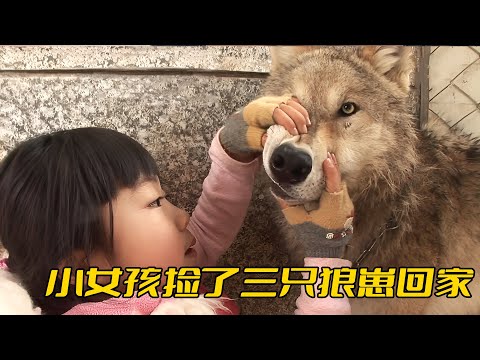 狼眼人